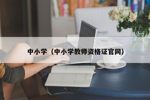 中小学（中小学教师资格证官网）